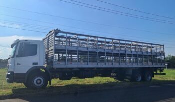 MB Atego 2426 6X2 GAIOLA SUÍNA – (2014) completo
